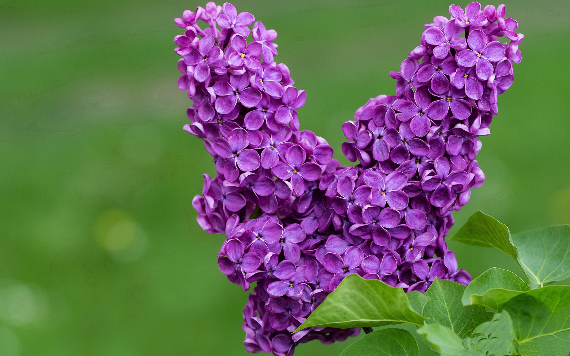 世俱杯网站-_新兴国家崛起：他们如何在国际比赛中突围_，新兴大国群体崛起也是充满曲折的