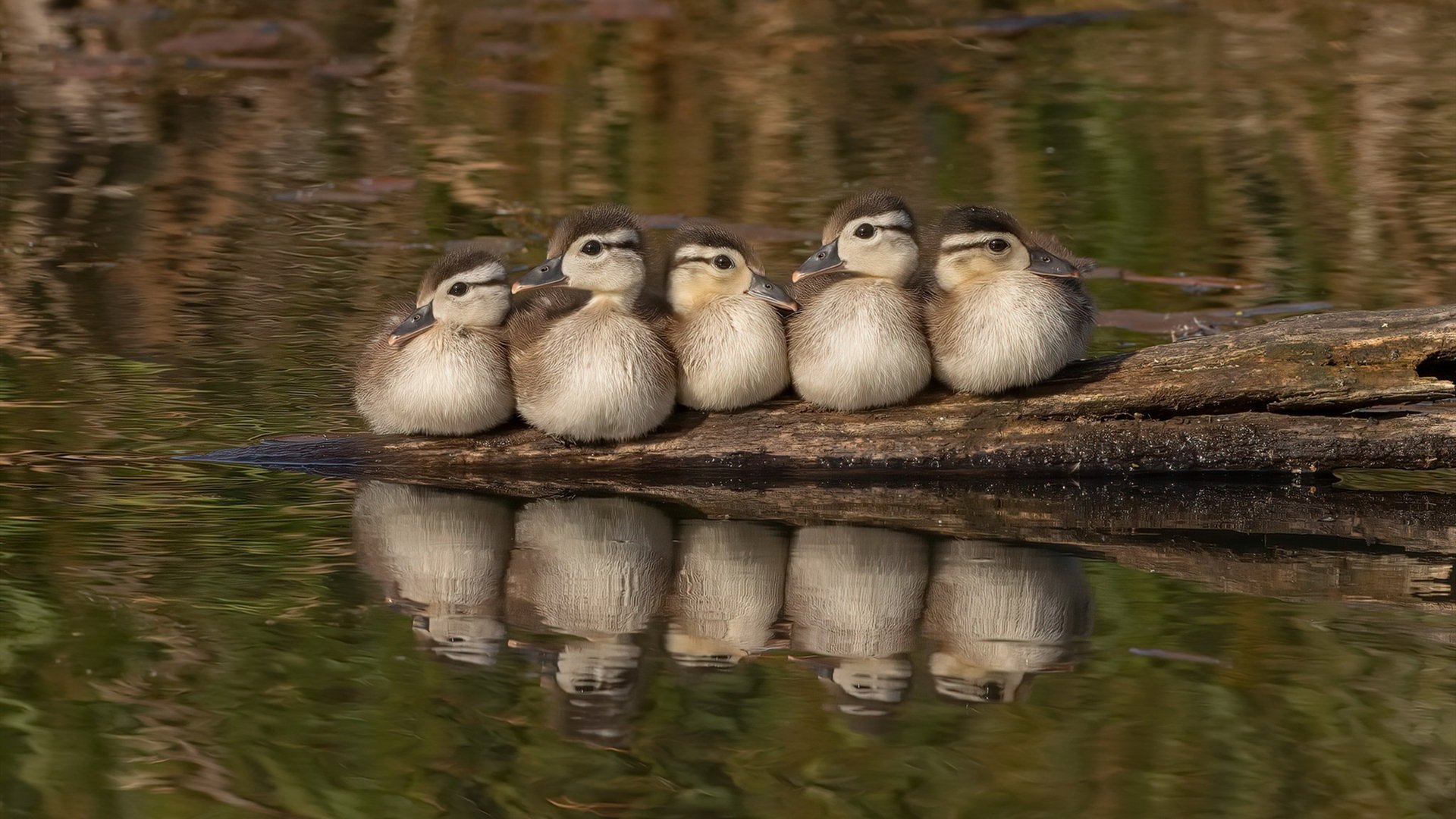 _技术与战术比拼:网球场上的精彩大比拼_,网球技战术训练方法