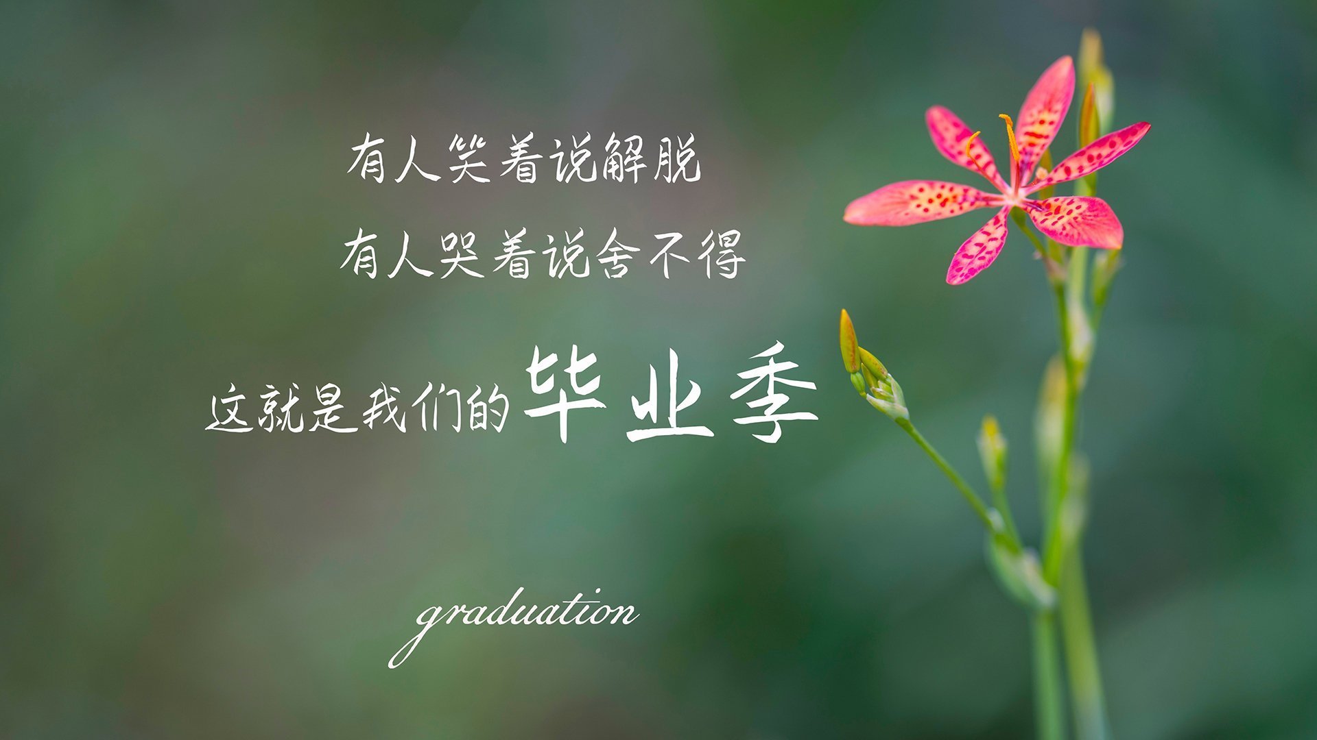 FIFA世俱杯-_文化体育结合：非遗项目大展风采_，体育非物质文化遗产调研报告