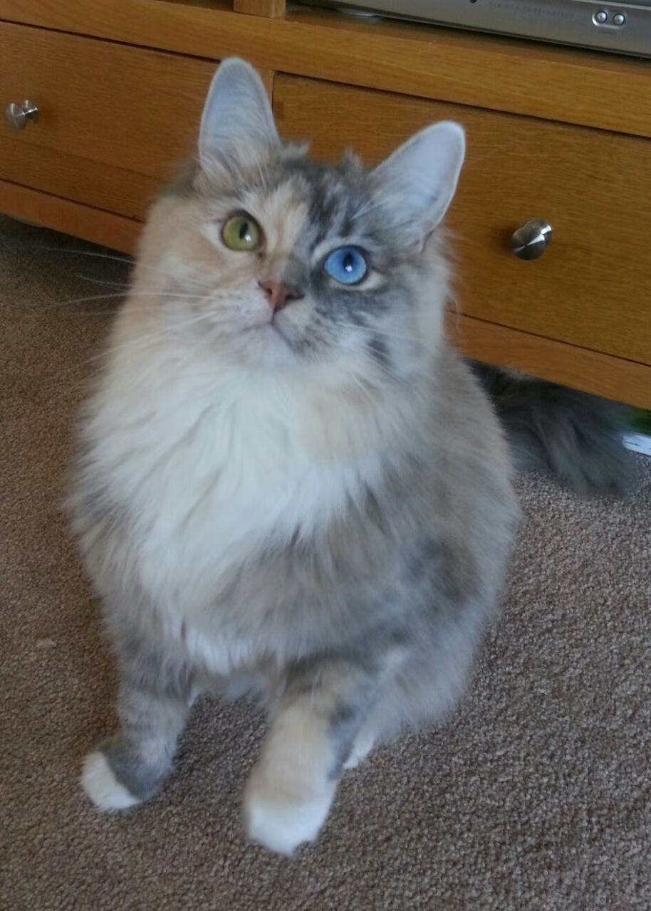 “足球+旅游+文化”融合新产业生态在多地落地,行业持续繁荣