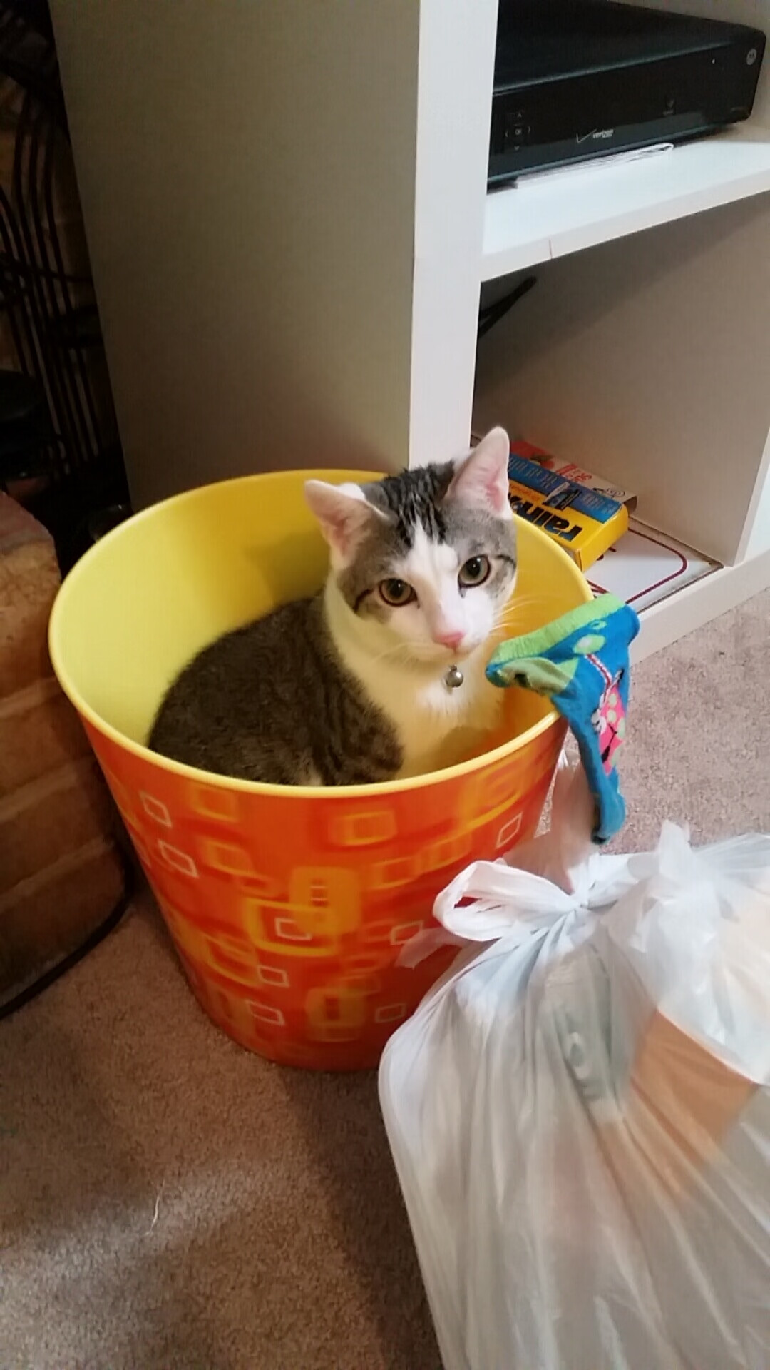 全国田径运动会,百米冲刺引爆全场,全国田径冠军赛2021百米决赛