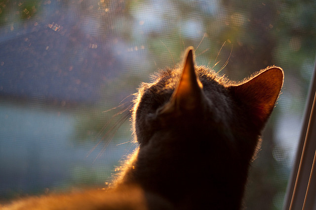 全国马拉松团队接力赛,合作赢得荣耀,2020马拉松接力赛