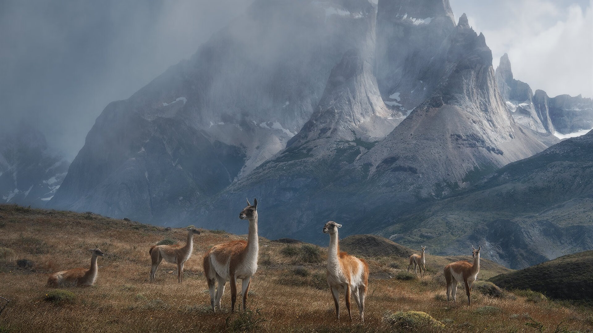 国际滑冰联合会推广青少年项目，促进冰雪运动普及，国际滑冰联合会规则规定