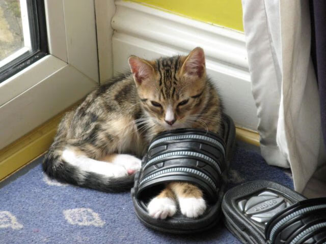 世俱杯2025全程直播-足球官方主题歌发布助燃新赛季热情，足球首歌叫什么