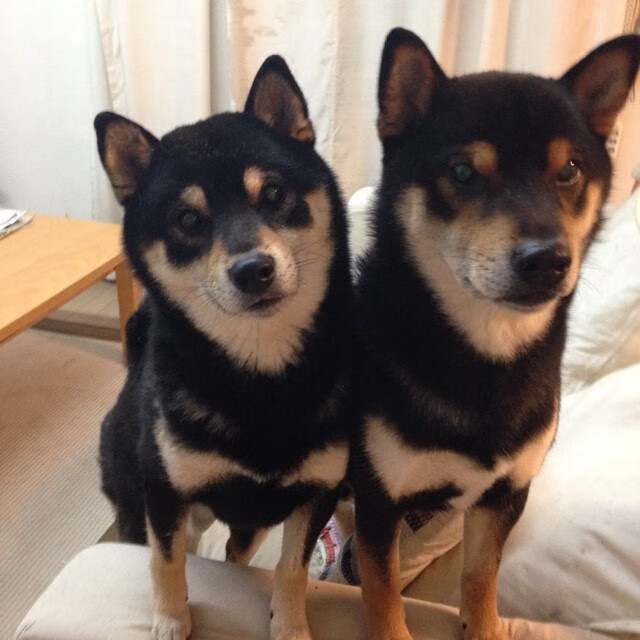 世俱杯2025全程直播-比利亚雷亚尔主场小胜，继续向前迈进西甲联赛，比利亚雷亚尔队史冠军