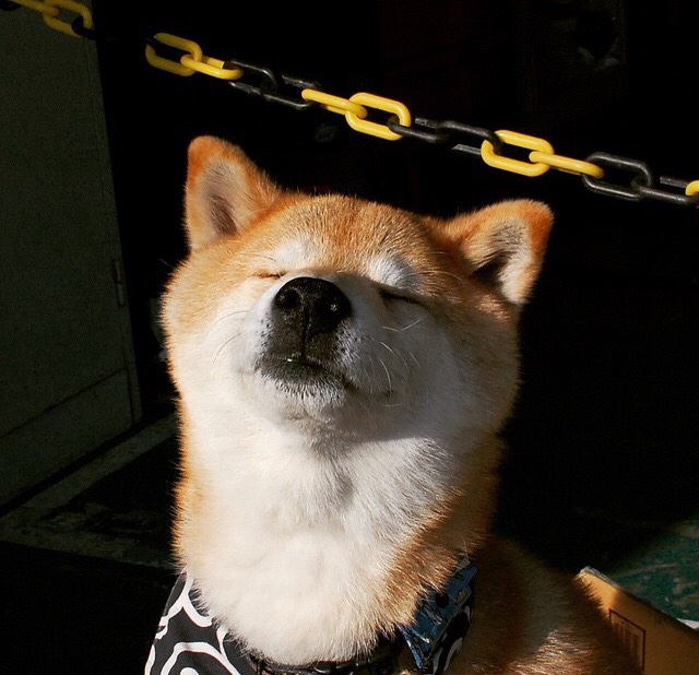 俱乐部世界杯-篮球运动员抗压能力训练技巧，篮球运动员训练强度