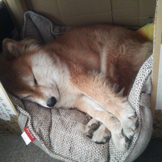 篮球赛事数字化转型与观众体验提升,篮球大数据预测