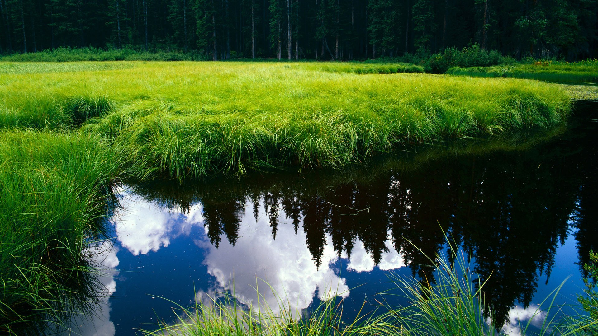 篮球运动员训练负荷监控技术及智能化应用发展,篮球专项负荷设计与安排
