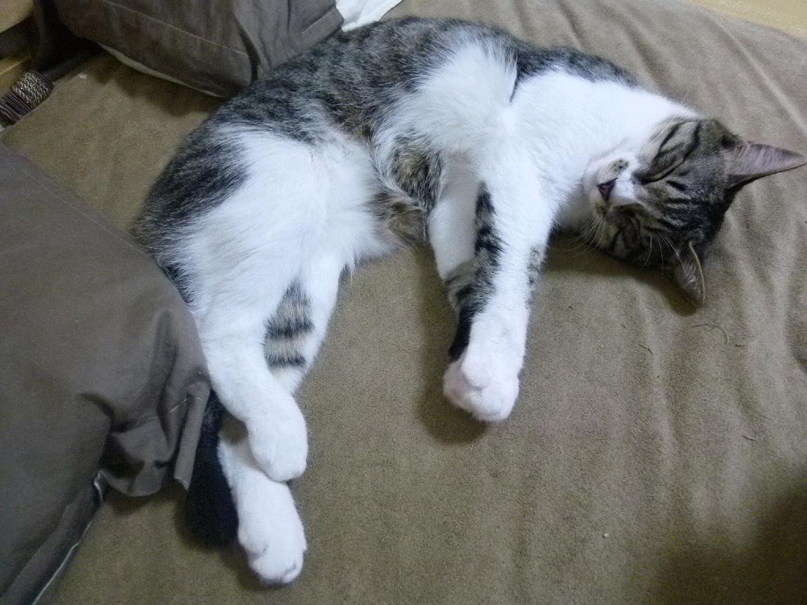 中国女篮加强对抗练习提升身体素质,中国女篮真棒