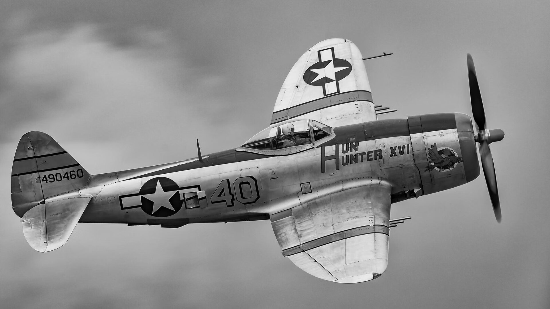 仰泳赛场南非表现持续稳定,仰泳项目