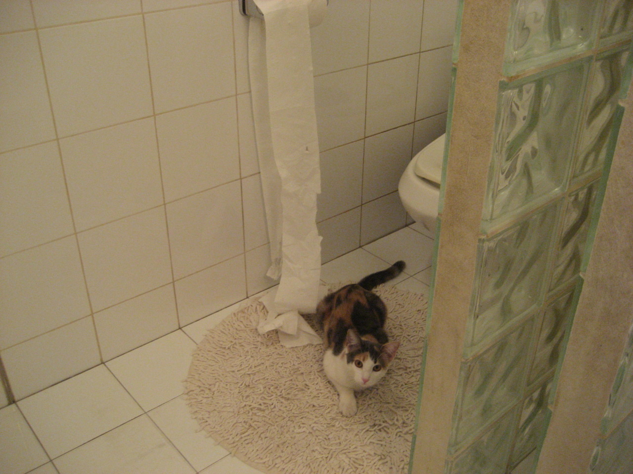 卡萨斯决赛表现赢得观众喝彩，卡萨世界赛