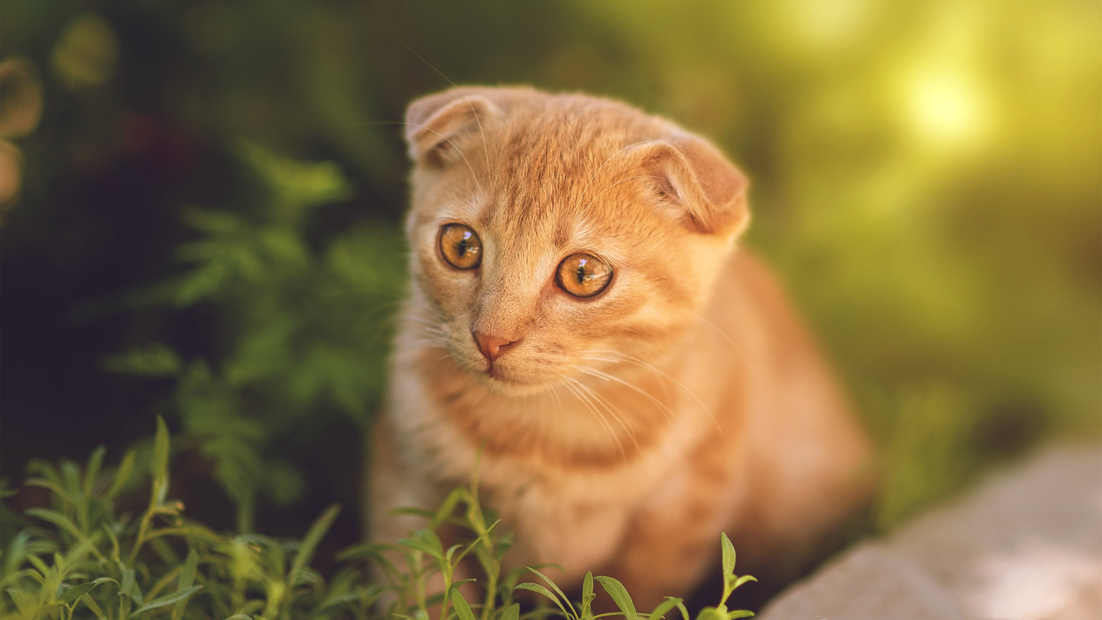女子篮球提高投篮稳定性促进球队得分能力,女生如何提高投篮命中率