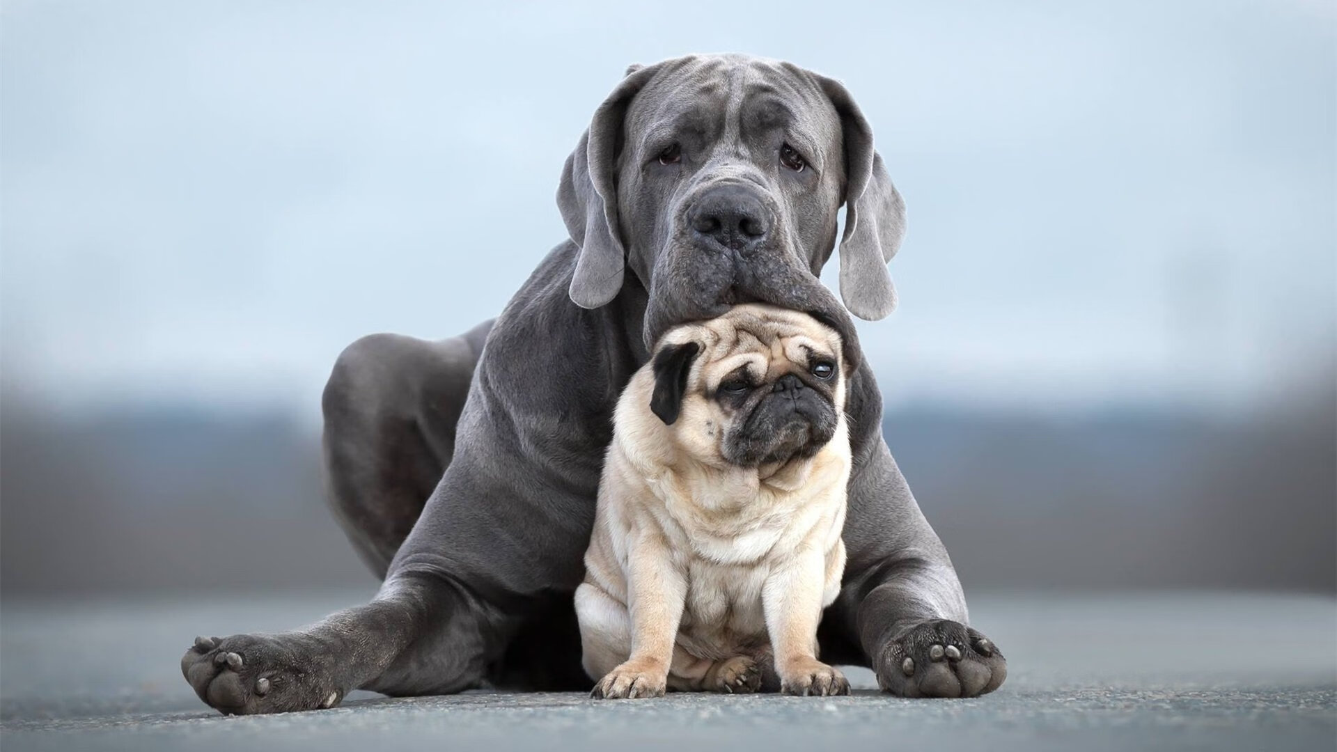 世俱杯赛程-曼联在关键比赛中逆转取胜，追赶榜首竞争激烈