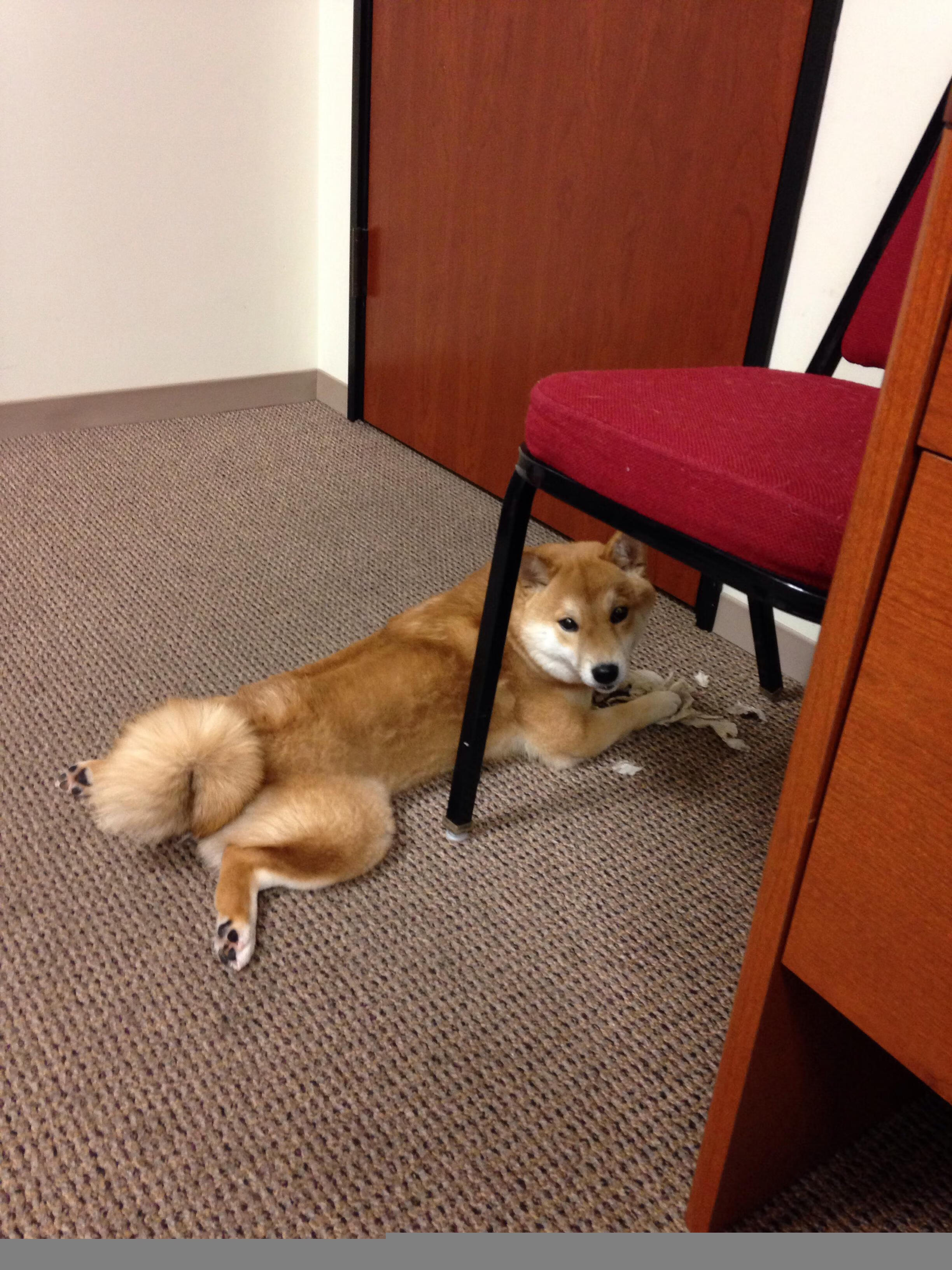 特色主题足球训练营受欢迎,吸引大量青少年参加,青少年足球训练营简介