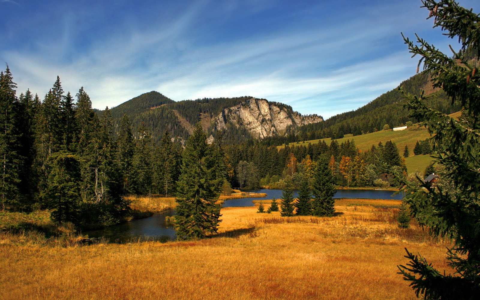 2025足球世俱杯官网-英国蝶泳老将普劳德再显锋芒，普劳德游泳